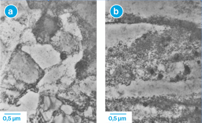 Bildschirmfoto 2025-07-16 um 15.11.25